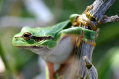 Killikus&reg; Fotographie